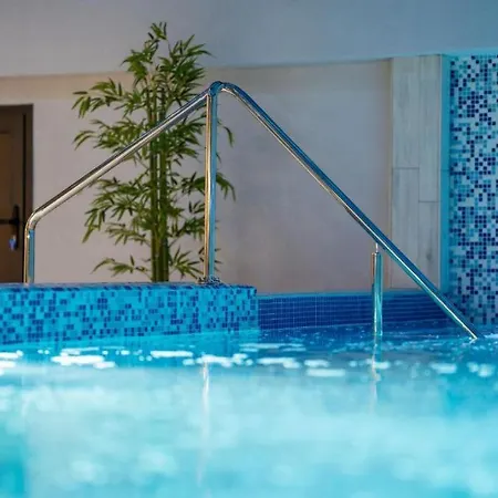 Tomy Forest Cigar Bar Zlatibor