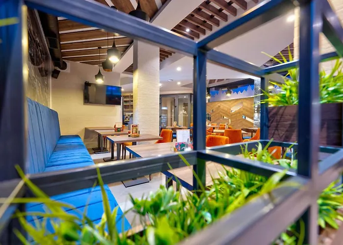 Hotel Tomy Forest Cigar Bar